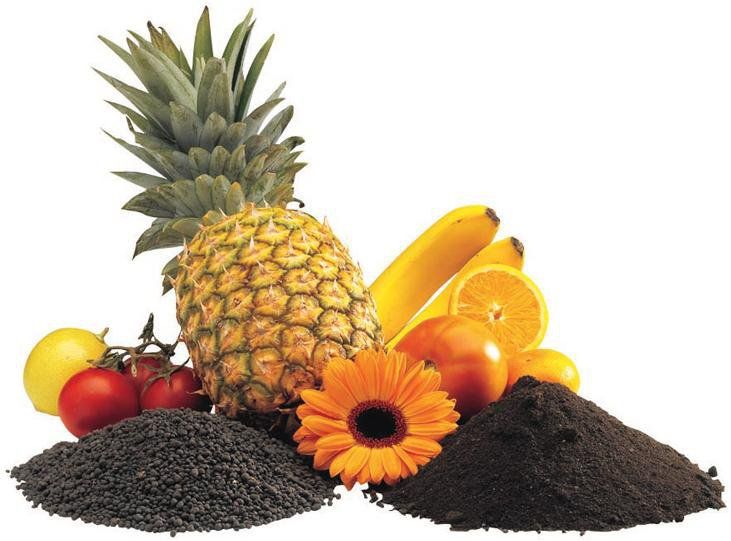 materia orgánica