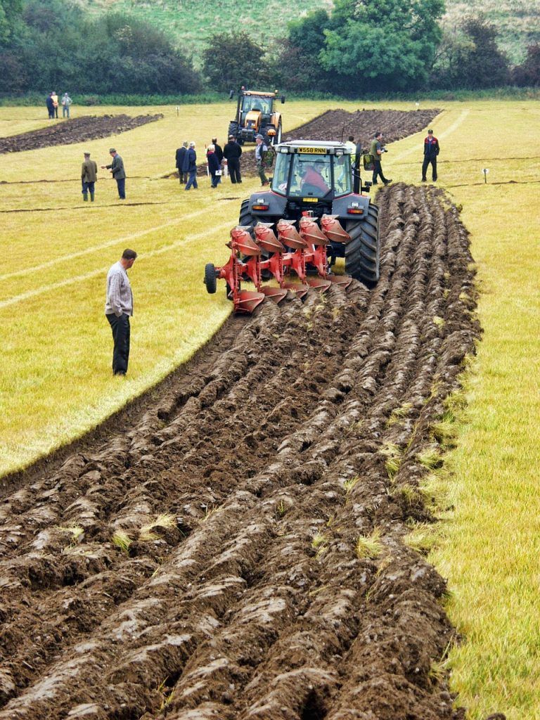 Problema urgente en nuestra agricultura