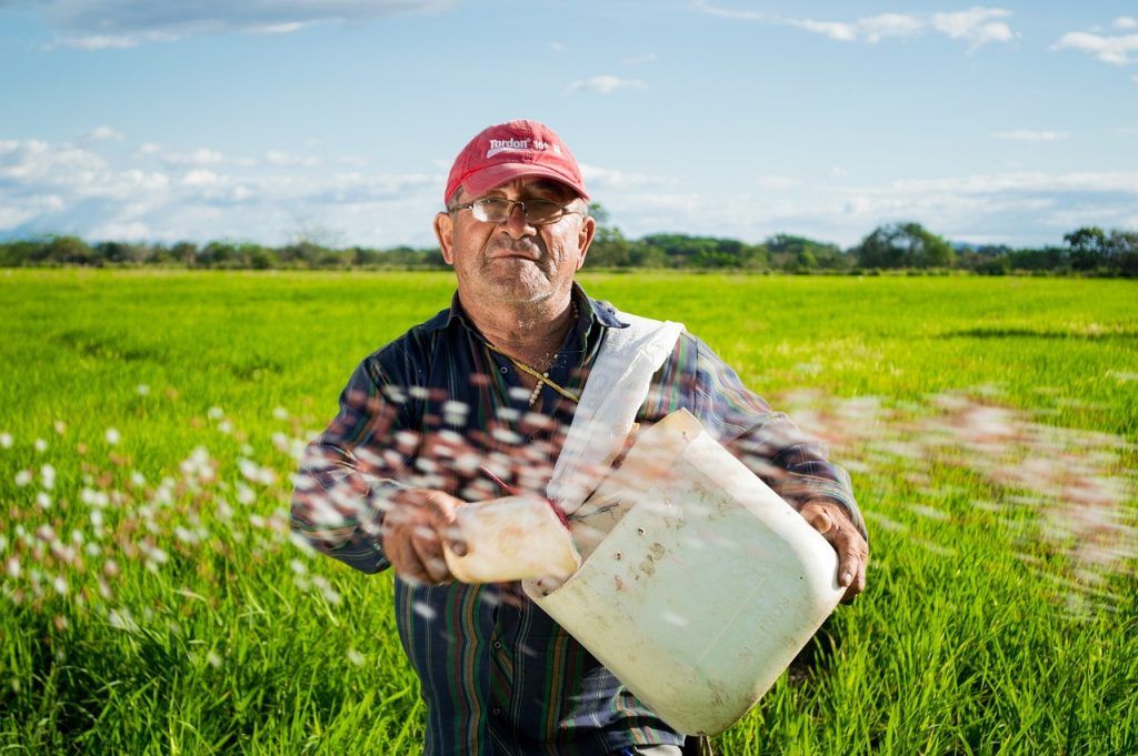 la leonardita en la agricultura