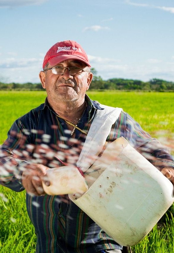 la leonardita en la agricultura